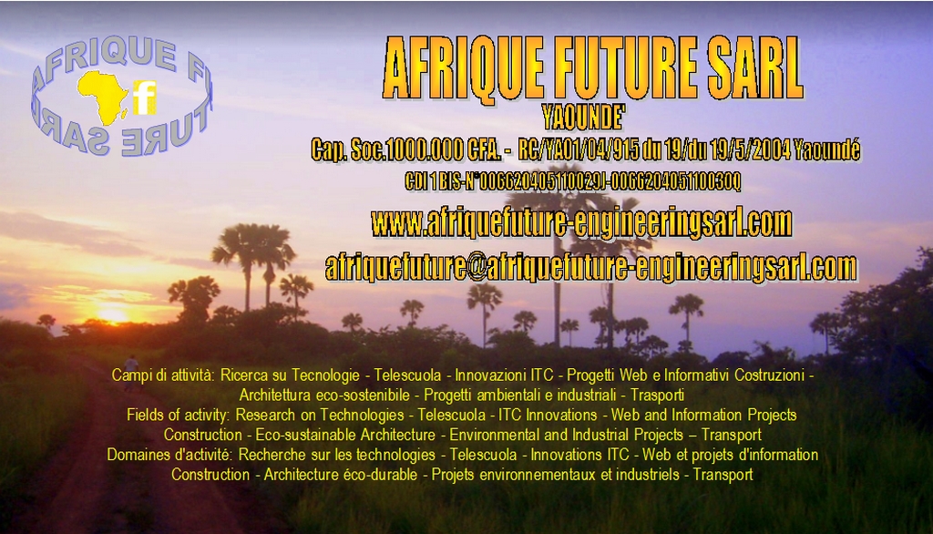 www.afriquefuture-engineeringsarl.com